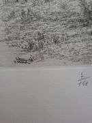 Very rare Remarkabe eoriginal etching hand signed by S.A. Boisecq