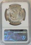 Satiny-white Gem BU 1884-O Morgan Silver Dollar. NGC MS65