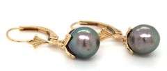 14kt Yellow gold 7.5mm Tahitian pearl dangle earrings