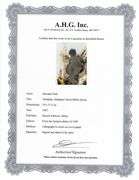 Highly Collectible and Rare Salvador Dali Original Lithograph from the 'Biblia Sacra' Suite