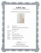 Highly Collectible and Rare Salvador Dali Original Lithograph from the 'Biblia Sacra' Suite