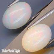 Gorgeous floral patterned 6.94ct snow white Opal -Untreated!