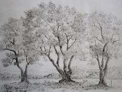 Very rare Remarkabe eoriginal etching hand signed by S.A. Boisecq