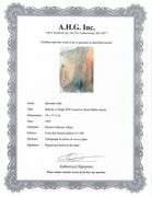 Highly Collectible and Rare Salvador Dali Original Lithograph from the 'Biblia Sacra' Suite