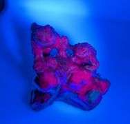 Massive! 370.20ct hand carved Ruby in Zoisite!