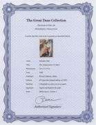 Highly Collectible and Rare Salvador Dali Original Lithograph from the 'Biblia Sacra' Suite