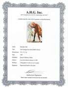 Highly Collectible and Rare Salvador Dali Original Lithograph from the 'Biblia Sacra' Suite