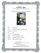 Highly Collectible and Rare Salvador Dali Original Lithograph from the 'Biblia Sacra' Suite