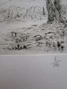 Very rare Remarkabe eoriginal etching hand signed by S.A. Boisecq