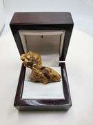Investment Quality Australian Gold Nugget