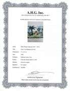 A remarkable Deluxe Edition of Les Ménines et la Vie by Pablo Picasso, published in Paris by Cercle 