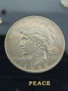 United States 20TH Century Dollar Coins, Capital Plastics Holder