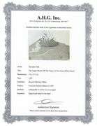 Highly Collectible and Rare Salvador Dali Original Lithograph from the 'Biblia Sacra' Suite