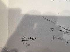 Pablo Picasso Toro "Bullfighter" Lithograph from 1960 Portfolio