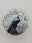 2023-S Silver Peace Dollar, Reverse Proof