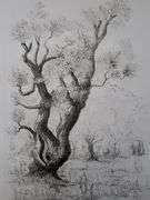 Very rare Remarkabe eoriginal etching hand signed by S.A. Boisecq