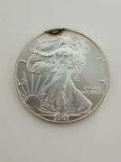 2007 American Silver Eagle, Toned