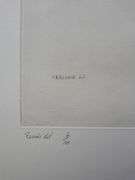 Investment! Very collectable remarkable limited edition Pierre-Auguste Renoir signed in the stone.