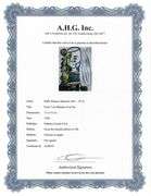 A remarkable Deluxe Edition of Les Ménines et la Vie by Pablo Picasso, published in Paris by Cercle 