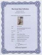 Highly Collectible and Rare Salvador Dali Original Lithograph from the 'Biblia Sacra' Suite