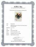 Highly Collectible and Rare Salvador Dali Original Lithograph from the 'Biblia Sacra' Suite