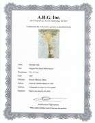 Highly Collectible and Rare Salvador Dali Original Lithograph from the 'Biblia Sacra' Suite