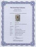 Highly Collectible and Rare Salvador Dali Original Lithograph from the 'Biblia Sacra' Suite