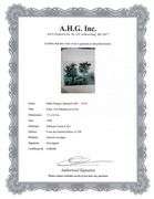 A remarkable Deluxe Edition of Les Ménines et la Vie by Pablo Picasso, published in Paris by Cercle