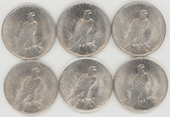 3 1924 and 3 1925 Peace Silver Dollars in slider/BU