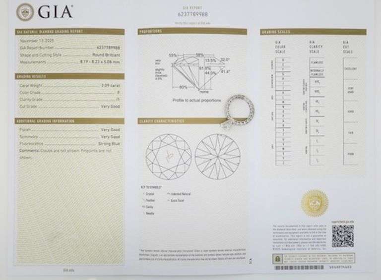 GIA Certified 4.04CTW Earth Mined Round Diamond Ring
