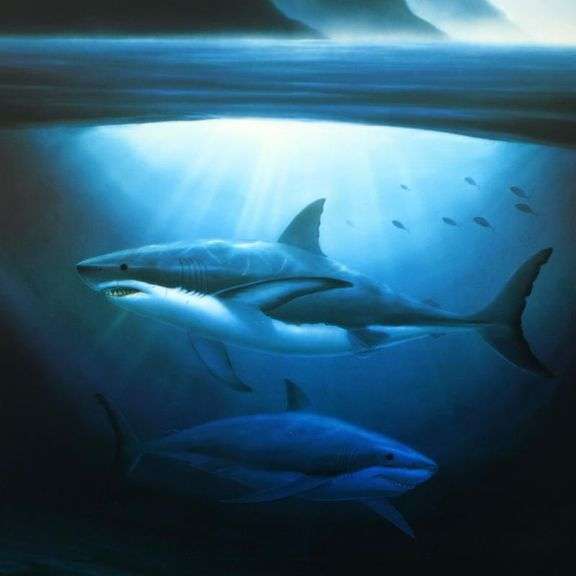 "Great White Sharks" by Wyland