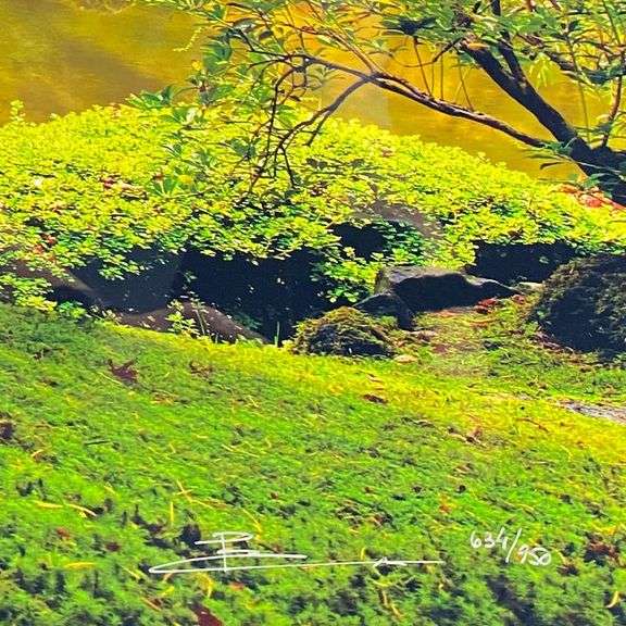 "Tree of Life" by Peter Lik