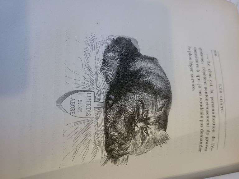 Cat Series! Highly collectable and rare Manet Book, c.1870 - 8 original etching included Manet LesCh