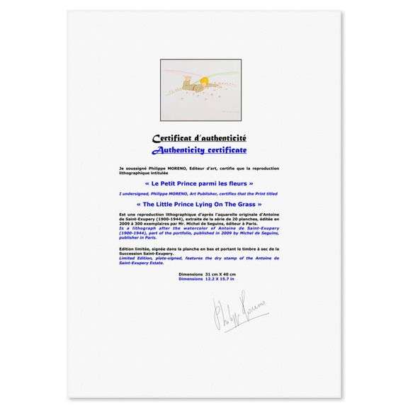 "The Little Prince Lying On The Grass" by Antoine de Saint-Exupery 1900-1944 (After)