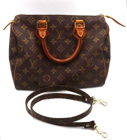Louis Vuitton Speedy 25 purse