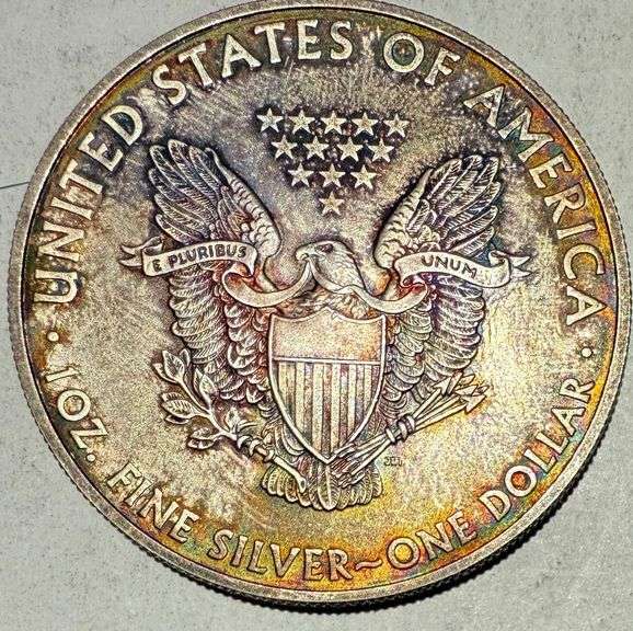 Deeply Toned 2008 Silver Eagle