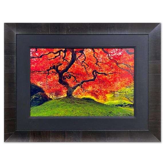 "Tree of Life" by Peter Lik