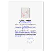 "The Astronomer" by Antoine de Saint-Exupery 1900-1944 (After)