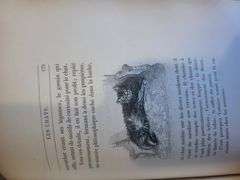 Cat Series! Highly collectable and rare Manet Book, c.1870 - 8 original etching included Manet LesCh