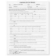 "Augusta #13 Rae's Creek" by Mark King (1931-2014)