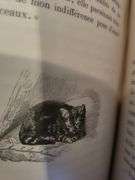 Cat Series! Highly collectable and rare Manet Book, c.1870 - 8 original etching included Manet LesCh