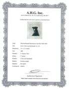 Extremely Rare and Collectible Antique Etching After Rembrandt, c. 1880