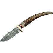 Fixed Blade Hunting Knife with Stag Handle