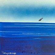 "Dolphin" by Wyland