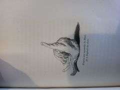 Cat Series! Highly collectable and rare Manet Book, c.1870 - 8 original etching included Manet LesCh