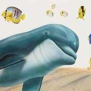 "Underwater Paradise" by Wyland