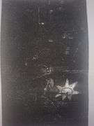 Collection of 15 Very Rare Etchings After Rembrandt (c. 1880)