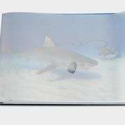 "Wyland: Visions Of The Sea" by Wyland
