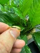 10k Yellow Solid Gold 3mm Comfort Fit Domed Plain Men's Women's Wedding Band Size 7