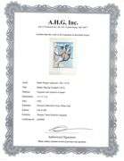 Collectible Vintage Picasso Original Pochoir Circa 1955, Bather Playing Football